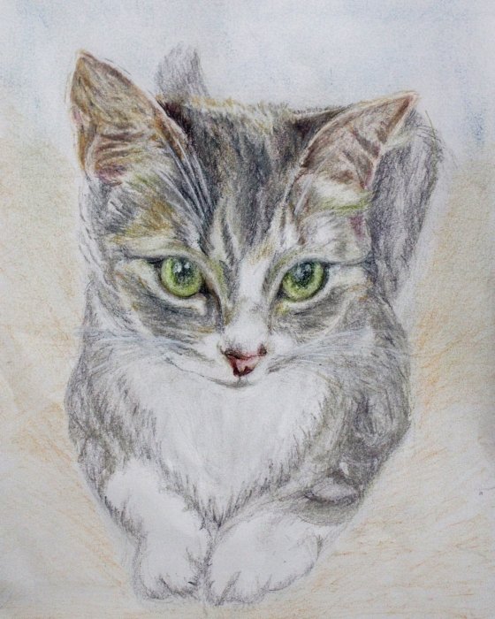 water colour pencil work by SumathiALN