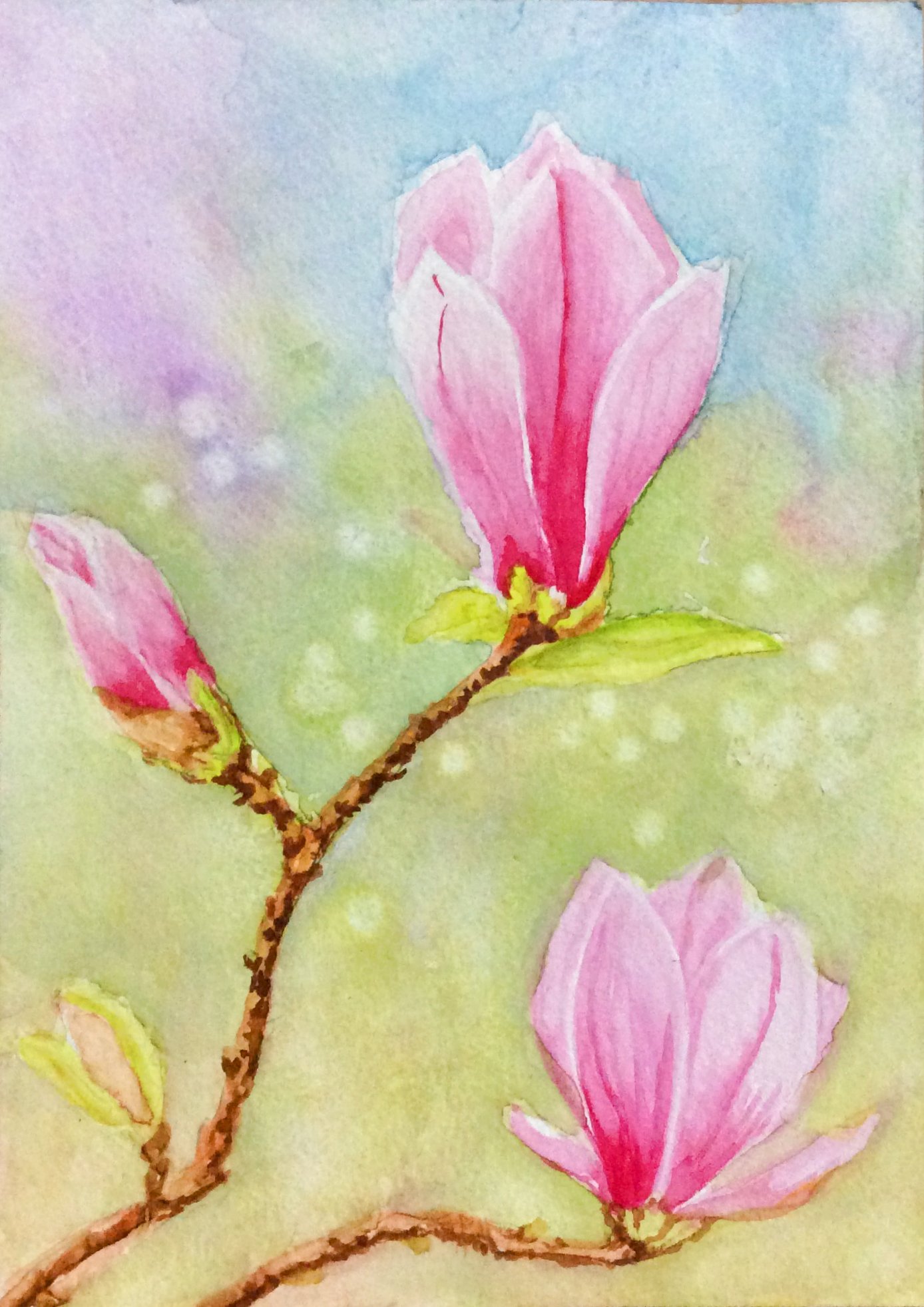 Magnolia water colour painting by SumathiALN